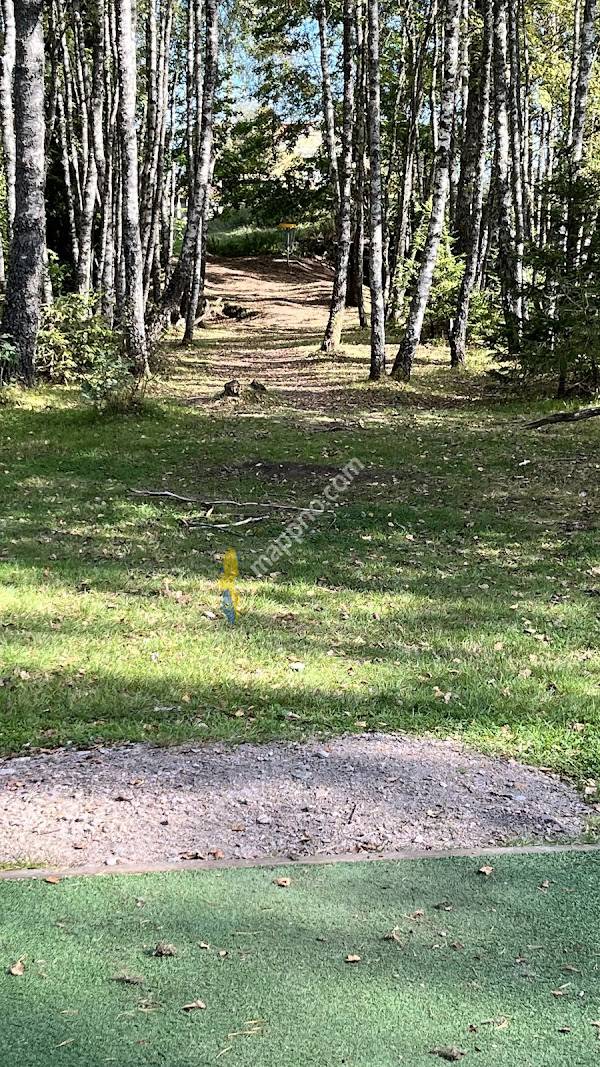 Hillared DiscGolfPark