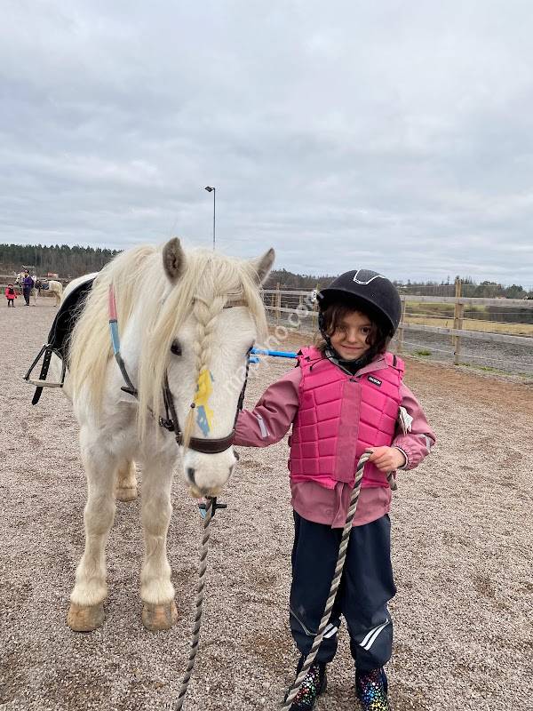 Höjerns ponnyridskola