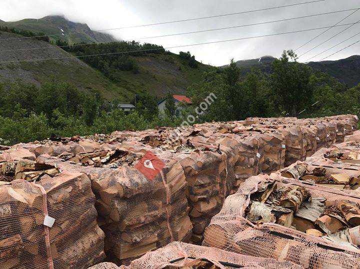 Holmen Gård og veddrift