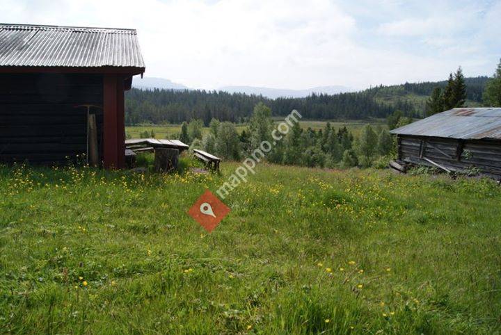 Holtestul lie hyttegrend