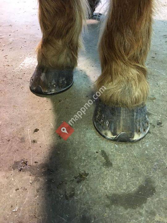 Hovslager Berit Wullum