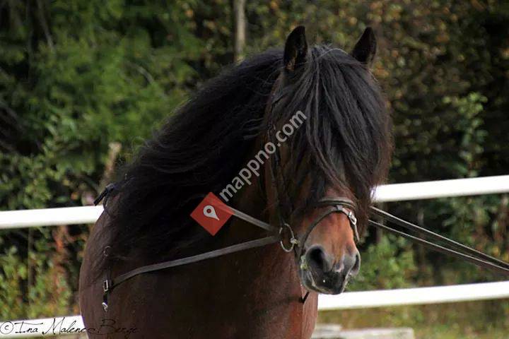 Hovslager J. Etterlid