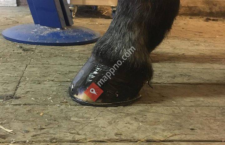 Hovslager Rikke Gaathaug