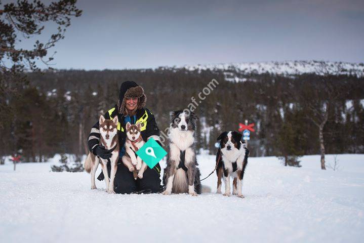 Hundcenter i Sälen
