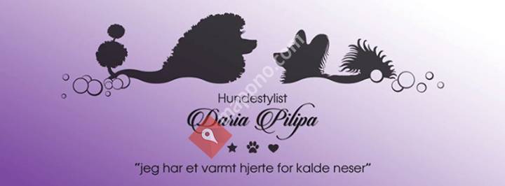 Hundestylist Daria Pilipa