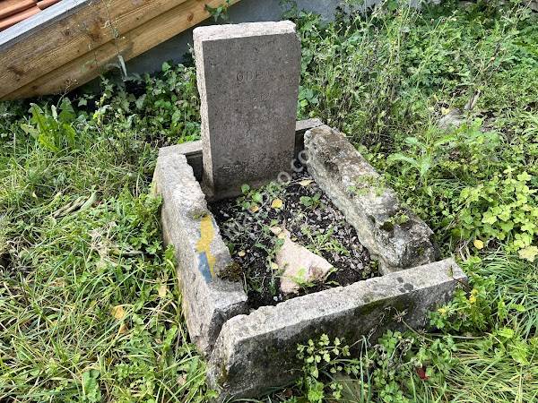 Hundgravarna i Borghamn