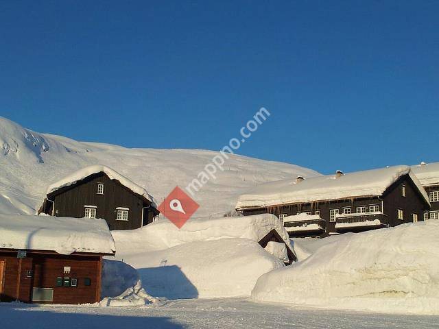 Hva med en tur til Røldal