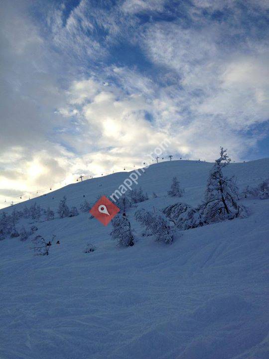 Hytto til Hellesøy-Sæle
