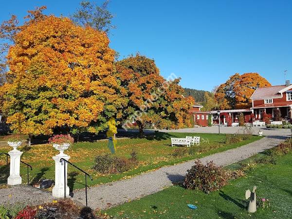 Järvsöbaden - Turist- Konferenshotell & SPA