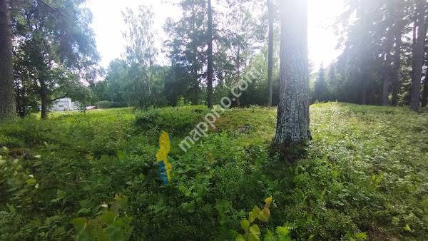 jättendal gravfält