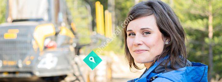 Jobba på Holmen Skog