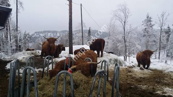 Jore Gard Joletreutsalg