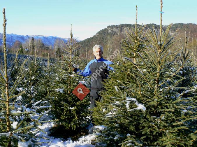 Jore Gard Juletreutsalg