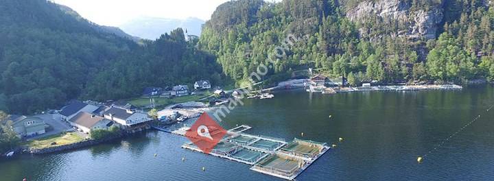 K.J. Eide Fiskeoppdrett As