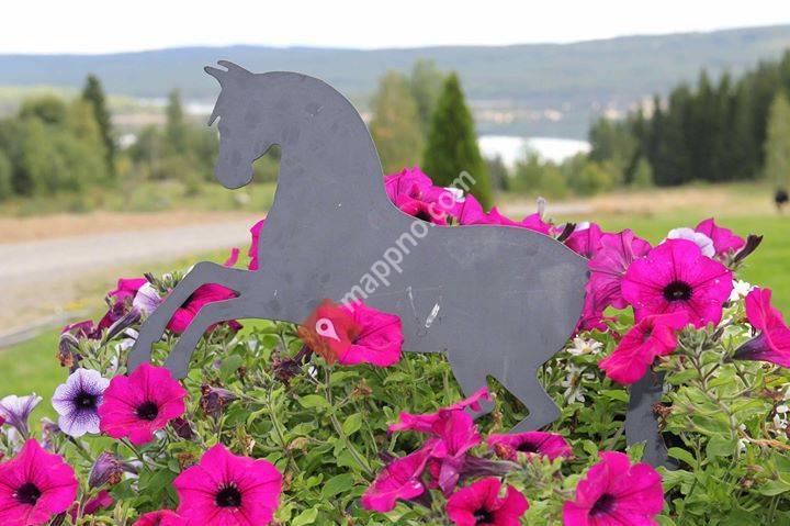 Kalneset Hesteklinikk