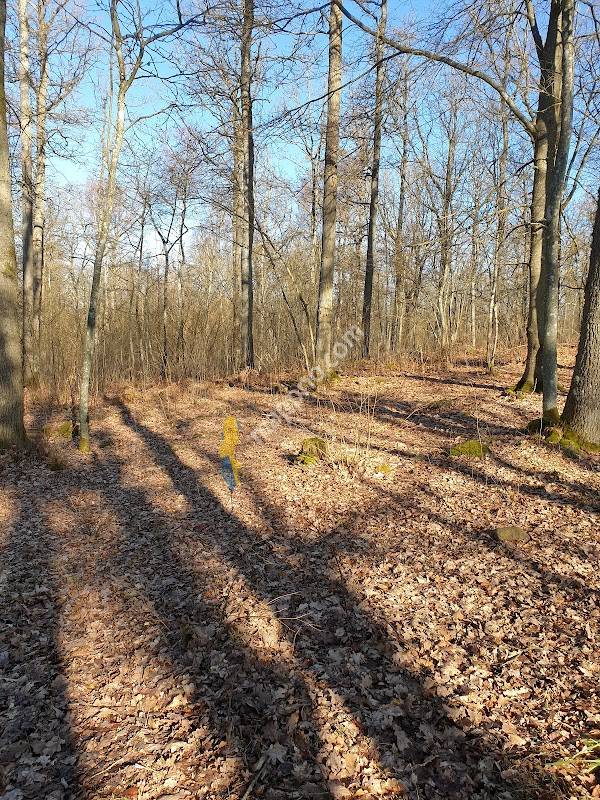 Karnas Backe DiscGolfPark