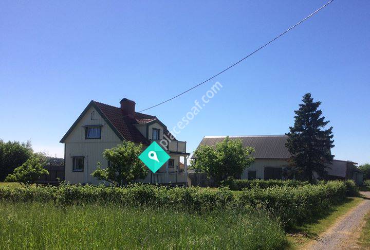 Kattpensionat Secret Love Göteborg