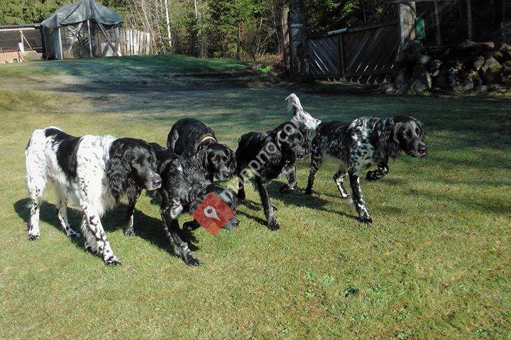 Kennel des Grandes Vorachyres