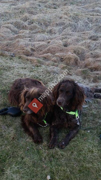 Kennel wachtel Jegerens