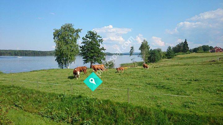 Åkes Slakt & Styckning AB