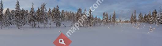 KF Stor-Elvdal kommuneskoger