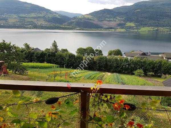 Knut K Finne Finnegarden