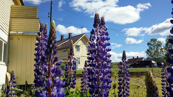 Kunstnerdalen kulturmuseum