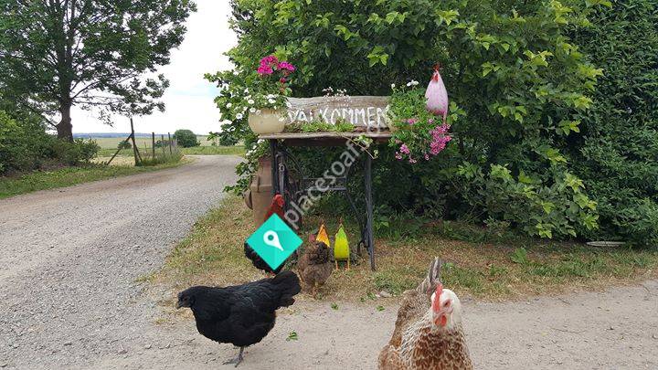 Kvidinge Park och Rehabträdgård