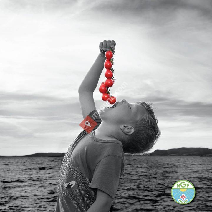 Lauvsnes Gartneri A/S