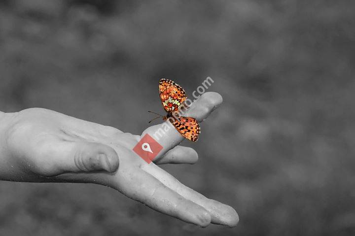 Leve Sogn og fjordane