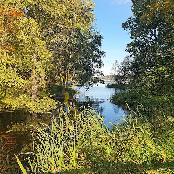 LH Trädgård & Design