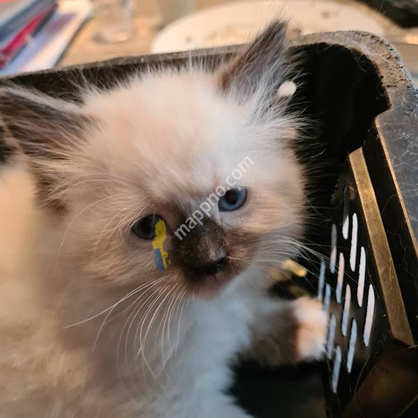 Lillåsens Veterinärpraktik AB