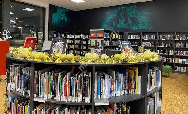 Lillestrømbibliotekene, Frogner