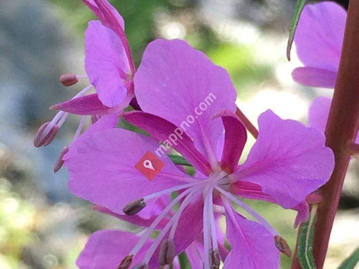 Linda Skaar Enhetsterapeut og Spesialpedagog