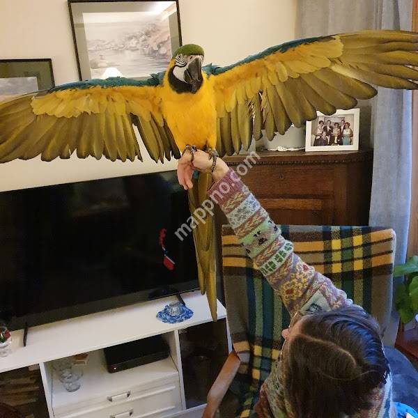 Lindesnes omsorgssenter