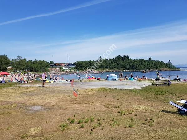 Lions - Vaulen/Hinna