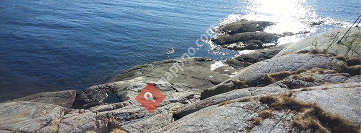 Litt av hvert på Fosen