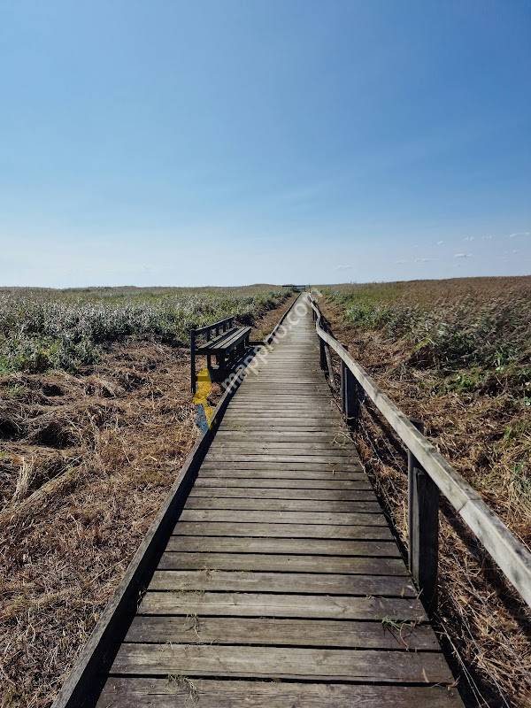 Löddeåns mynning (Södra) Naturreservat