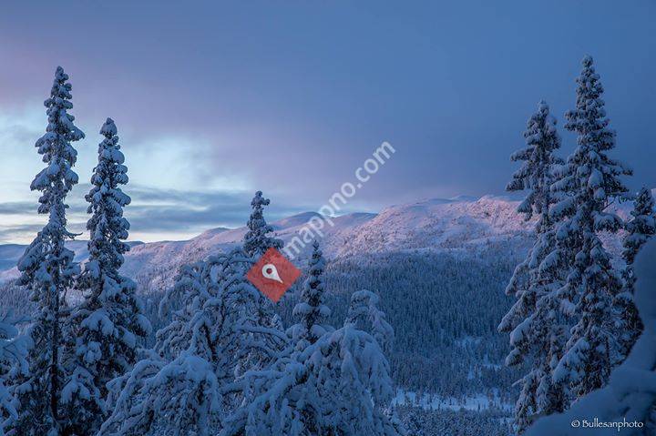 Los Buljo's Mountain Lodge