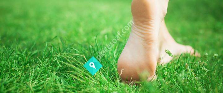 Lövgrens Utemiljö i Dalarna, Hem & Trädgård