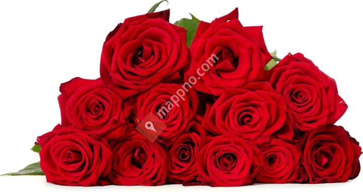 Lyngenfjord blomster og frisør