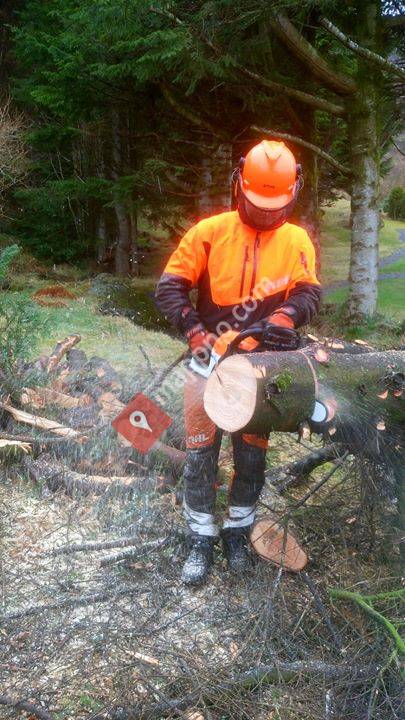 M.Kopperstad Trefelling