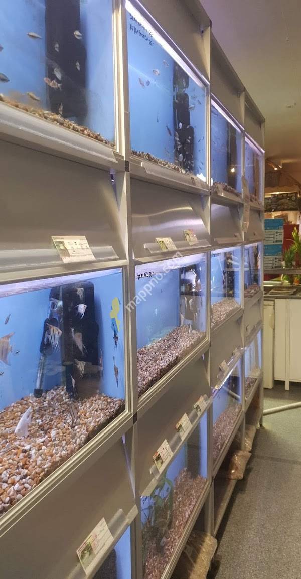 Mackes Zoo & Fritid AB