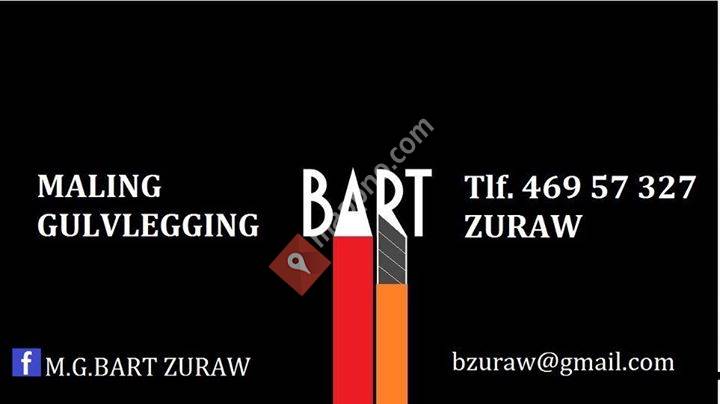 Maling Gulvlegging BART ZURAW