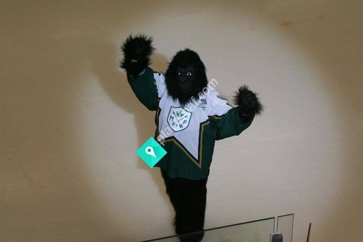 Malungs IF ungdomshockey