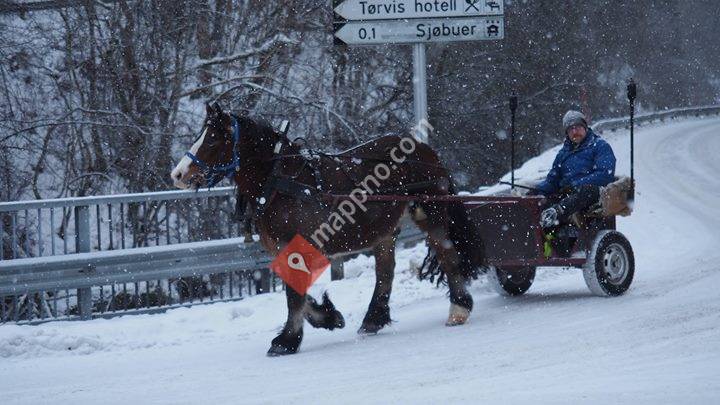 Marifjøra Julemarknad
