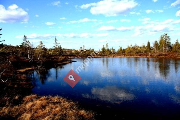 Me som har hytte i Nissedal kommune