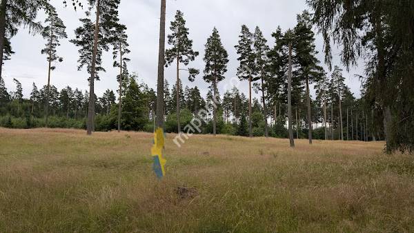 Mellersta gravfältet