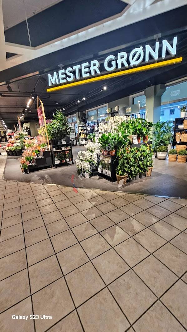 Mester Grønn Amfi Sogningen