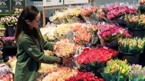 Mester Grønn Amfi Voss